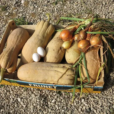 Fior Di Maggio