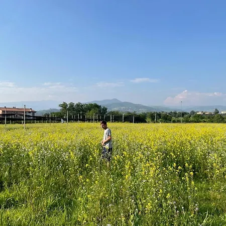 Farm stay Fior Di Maggio Pescantina