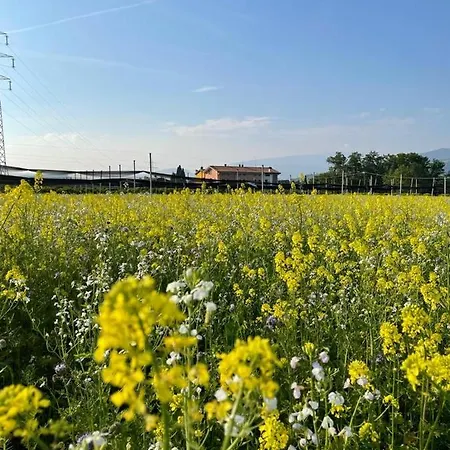 Fior Di Maggio * Pescantina