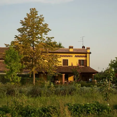 Fior Di Maggio